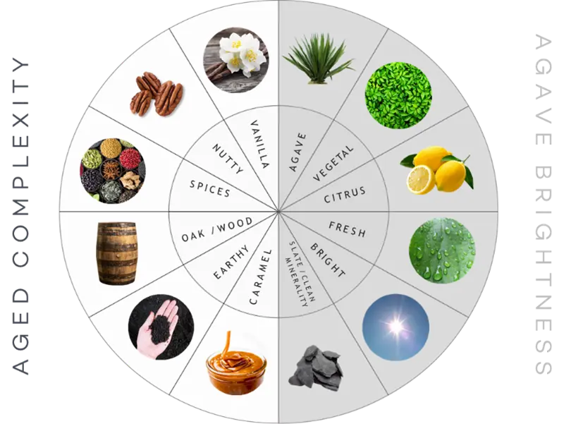 Avion Tequila flavors