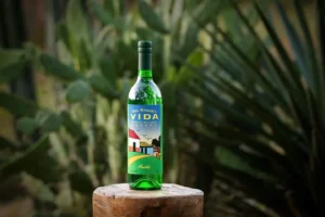 Mezcal del Maguey Vida